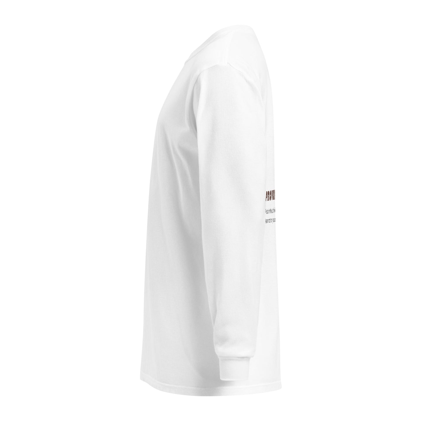 Proverbs 3:5 (Garment-dyed heavyweight long-sleeve shirt)