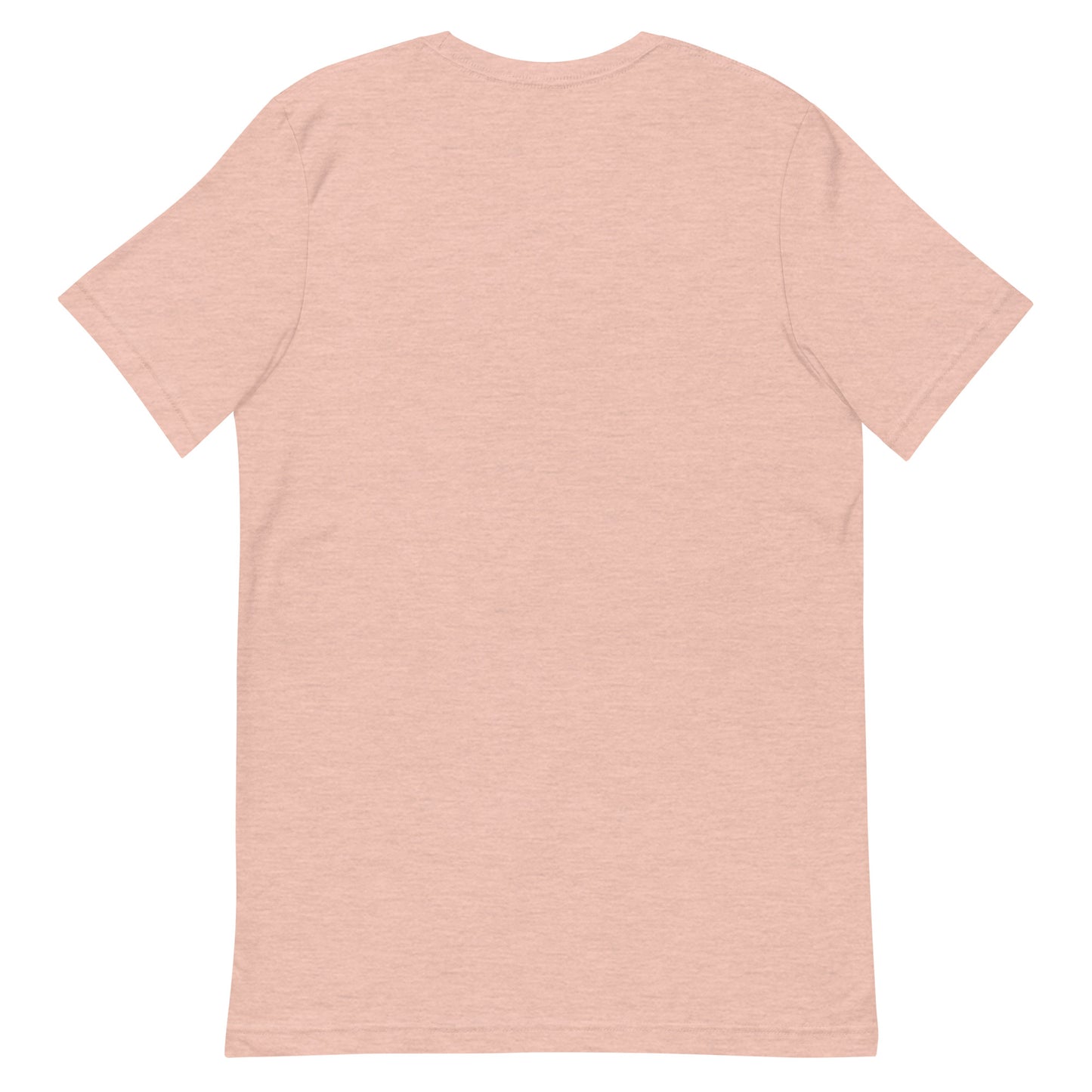 Praise The Lord (t-shirt)